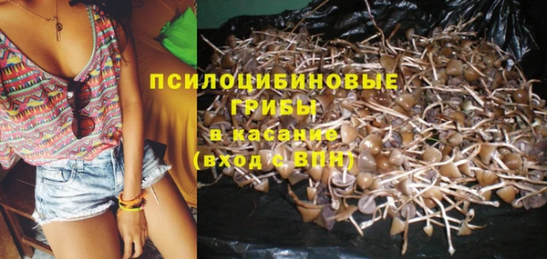 МДПВ Алексин