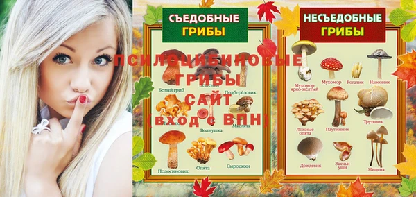 спайс Алзамай