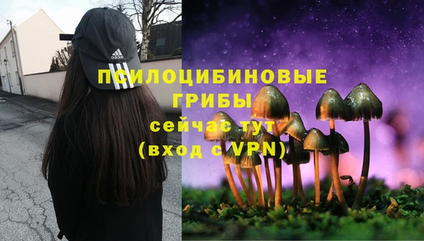 спайс Алзамай
