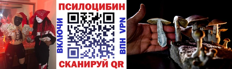 как найти закладки  Нестеров  Галлюциногенные грибы прущие грибы 